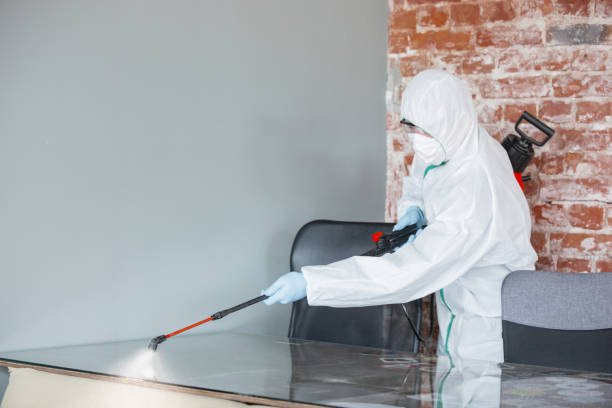 Best Mold Odor Removal Services in Cloverdale, CA